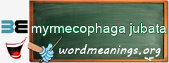 WordMeaning blackboard for myrmecophaga jubata